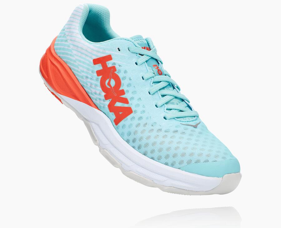 Hoka Womens Running Shoes NZ - Hoka One One Evo Carbon Rocket Blue (SHC862314)